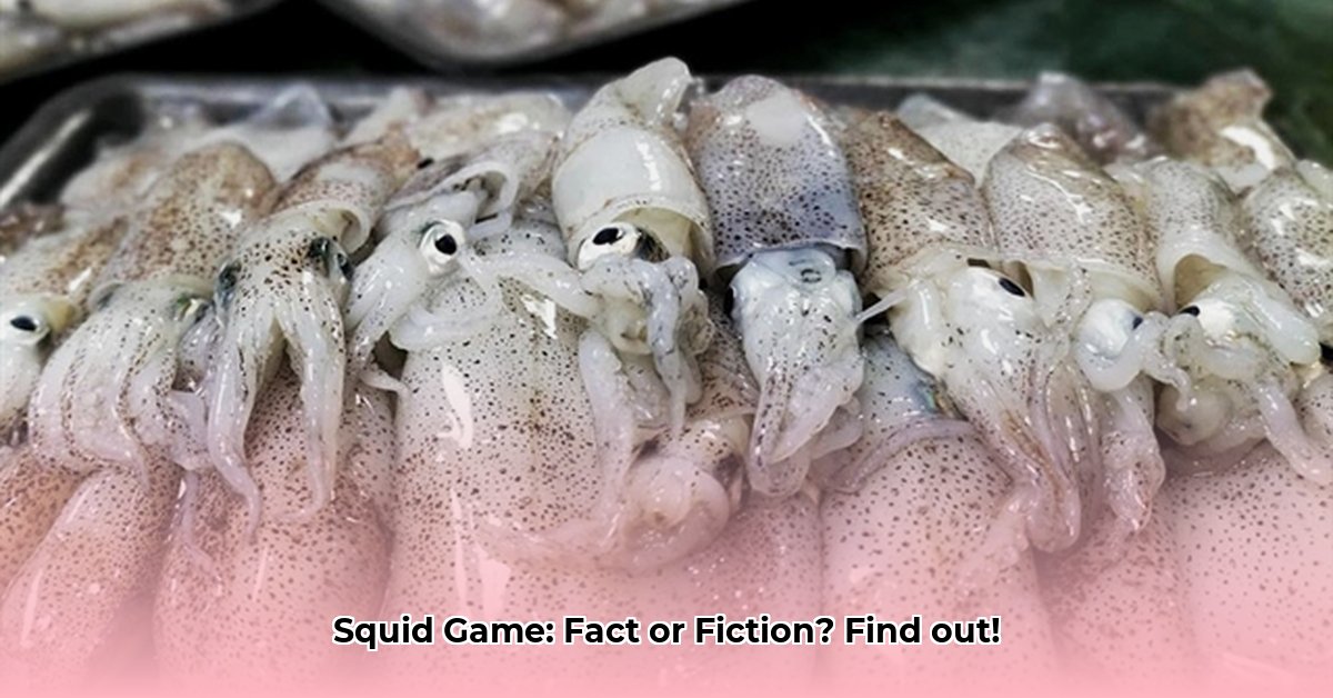 is-squid-game-based-on-a-true-story